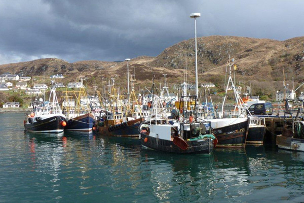 Mallaig is still an active fishing port