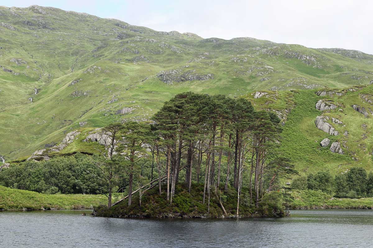 Dumbledore's Island on Loch Eilt